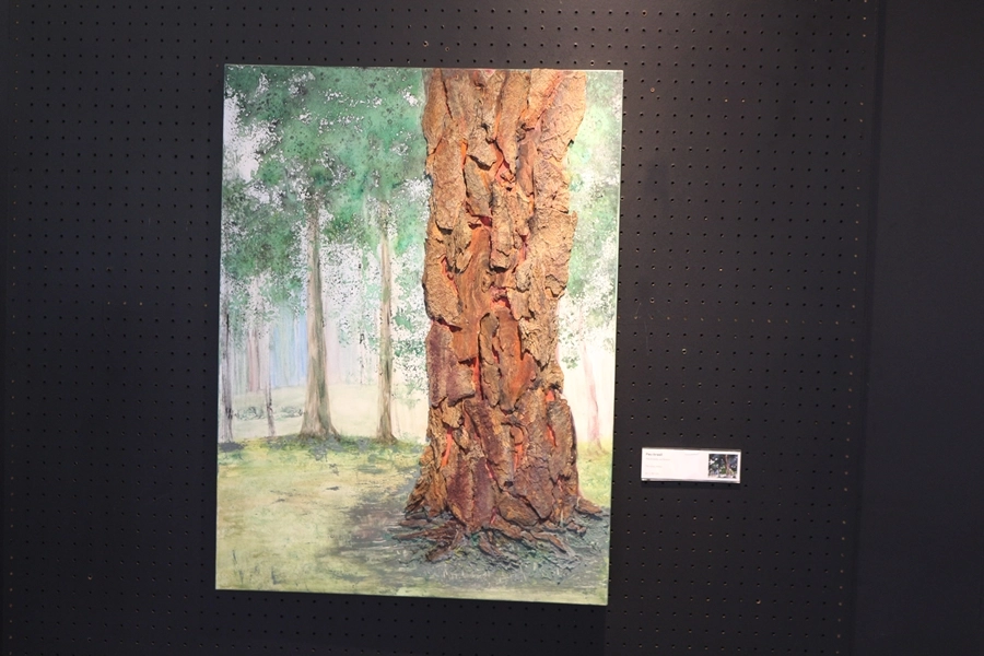 Exposição – A Flora da AABB-SP – 19, 20, 26 e 27/09/2026