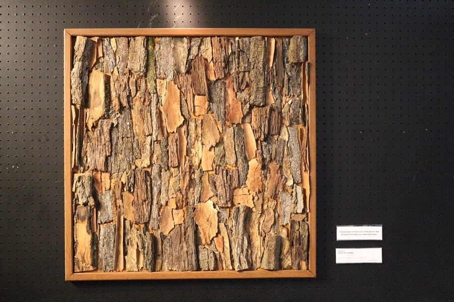 Exposição – A Flora da AABB-SP – 19, 20, 26 e 27/09/2026