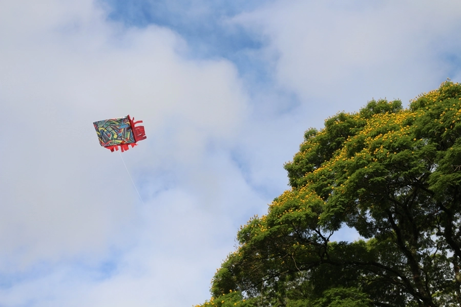 Pipas colorindo o céu com o Projeto Sorria – 19/10/2025
