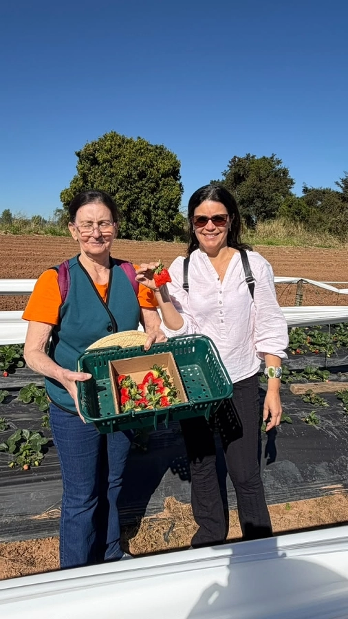 Circuito Turístico Rural – Colhendo os Sabores da Terra (Traviú/Jundiaí e Louveira) – 17/07/2026