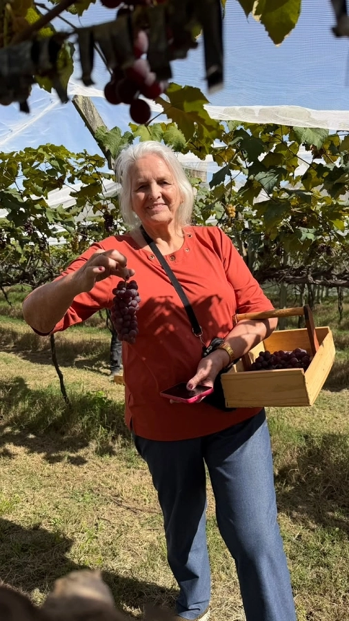 Circuito Turístico Rural – Colhendo os Sabores da Terra (Traviú/Jundiaí e Louveira) – 17/07/2026