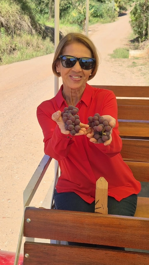 Circuito Turístico Rural – Colhendo os Sabores da Terra (Traviú/Jundiaí e Louveira) – 17/07/2026