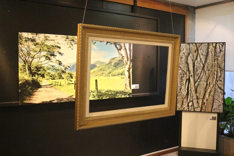 Exposição – A Natureza em Obras de Arte – 02, 03, 09 e 10/05/2026