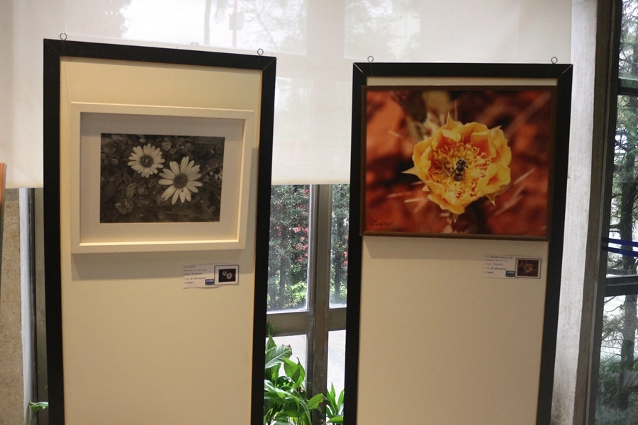 Exposição – A Natureza em Obras de Arte – 02, 03, 09 e 10/05/2026