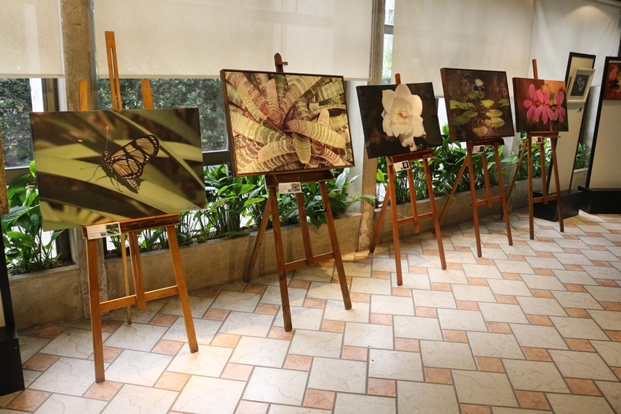 Exposição – A Natureza em Obras de Arte – 02, 03, 09 e 10/05/2026