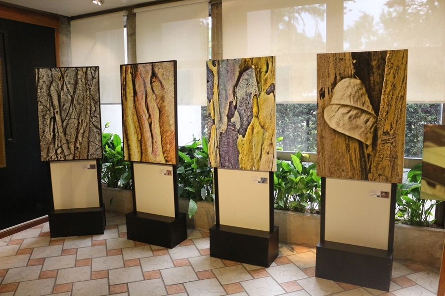 Exposição – A Natureza em Obras de Arte – 02, 03, 09 e 10/05/2026