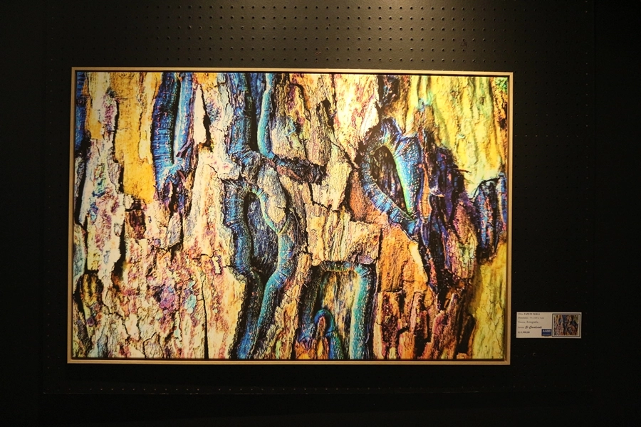 Exposição – A Natureza em Obras de Arte – 02, 03, 09 e 10/05/2026