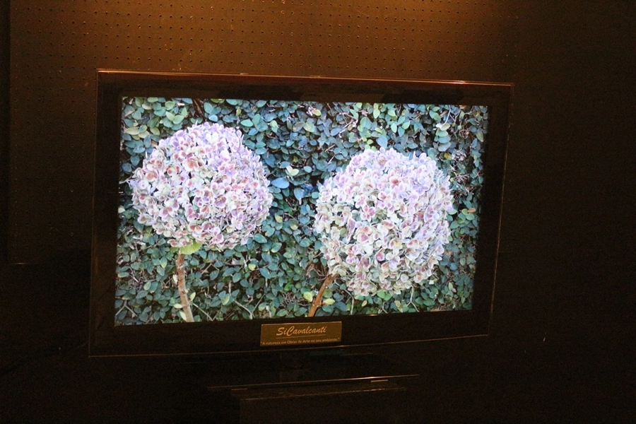 Exposição – A Natureza em Obras de Arte – 02, 03, 09 e 10/05/2026