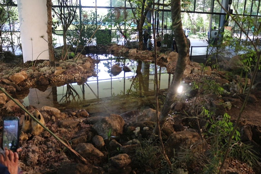 Roteiro Cultural – 36ª Bienal de São Paulo – 12/11/2025