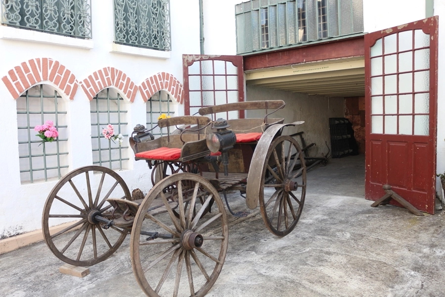 Roteiro Cultural – 36ª Bienal de São Paulo – 12/11/2025