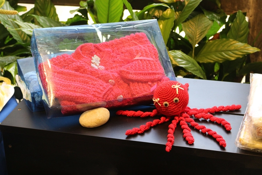 Exposição – Grupo MAIS – 22 e 23/03/2025