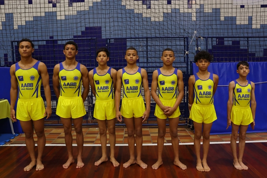 Festival de Ginástica Artística – 24/10/2026