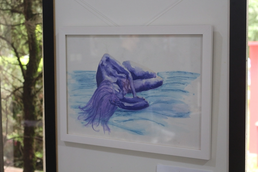 Exposição – Indômita – 03, 04, 10 e 11/10/2026