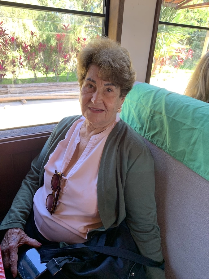 Vinho com Arte – São Roque (SP) – 17/05/2025